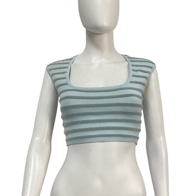 Alexis Striped Powder Blue Emille Crop Top Size S