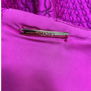Alexis Textured Fuchsia Arie Dress Size S